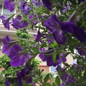 Meet your Posher, Nadia